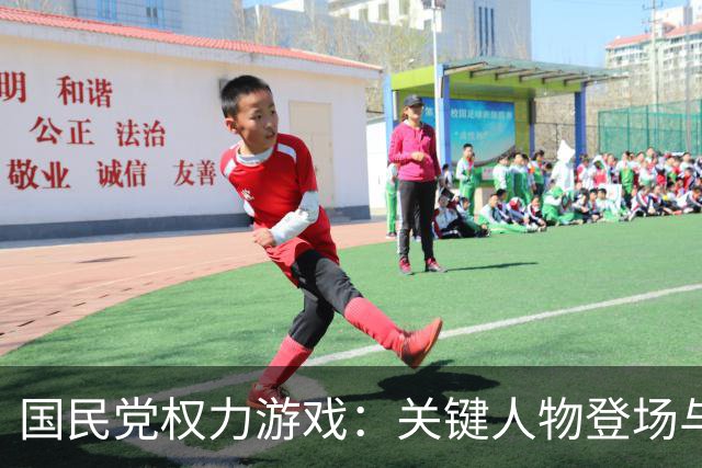 国民党权力游戏：关键人物登场与郑丽文的隐退