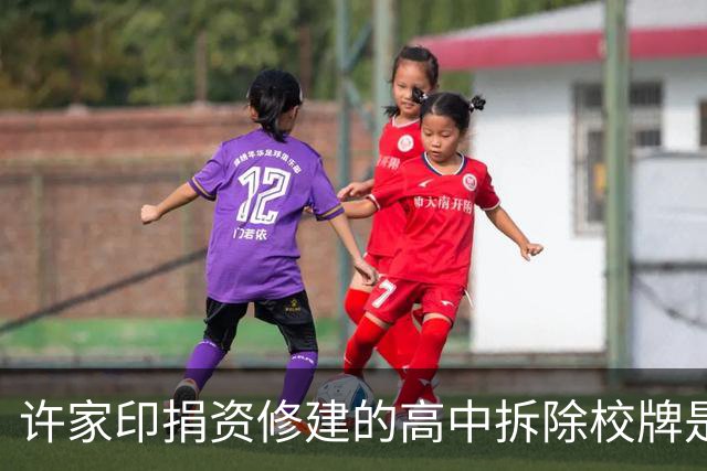 许家印捐资修建的高中拆除校牌是否妥当？